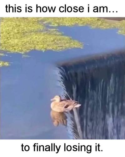 this is how close i am to finally losing it
