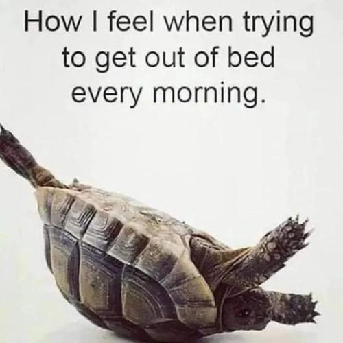 301634326_5577161078996578_92027388525806746_n