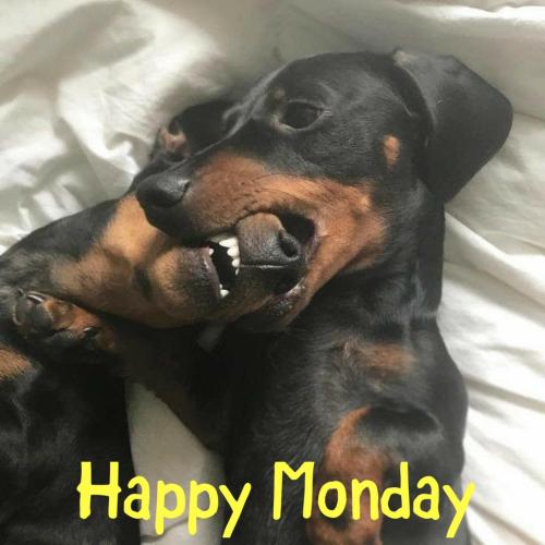 299177952_433461432150430_5321848999296003925_n