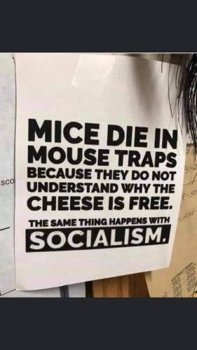 FB_IMG_1633039834325