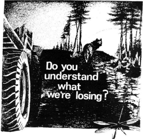 tumblr_10b1b58f3e3a8a2da37a8af6614a3a98_70a52d6f_540