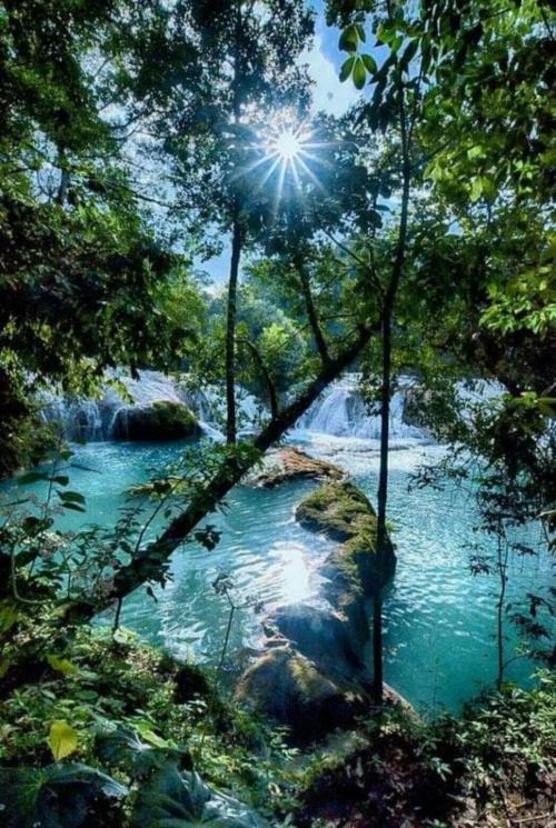 Screenshot_20220716-155706_Wimkin Free Speech Social Media