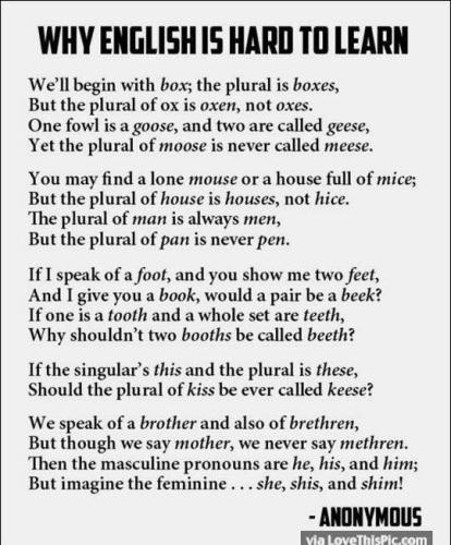 297982613_5180568788736352_1416512102177608633_n