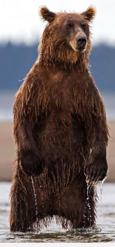 tumblr_d71ced40a27e8e0ae577863580add1d9_b7f0b66f_1280