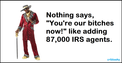 irs_87000_bitches_now