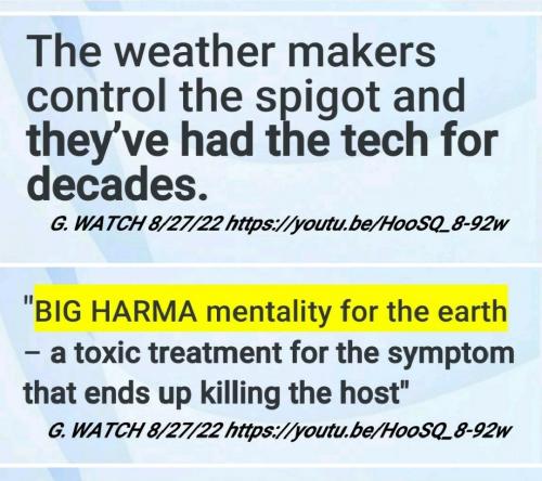Screenshot_2022-08-30-13-57-49-186_com.google.android.apps.photos