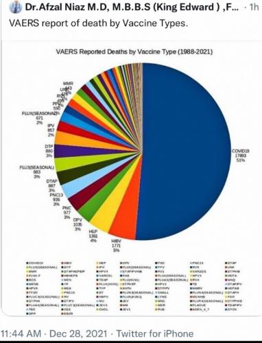 IMG_20220815_195422_230~2