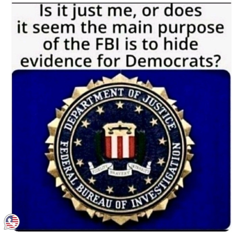 fbi hide dems