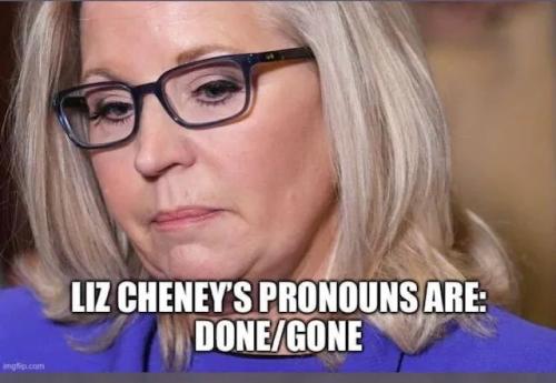 LizCheneyPronouns