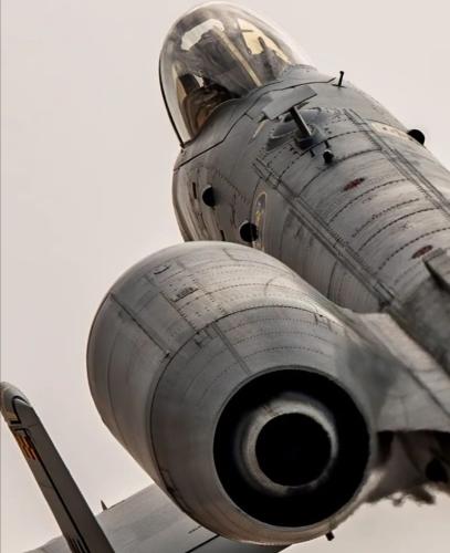 299450859_614137346945297_2349475004860212645_n