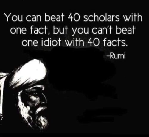 FB_IMG_1644968469404