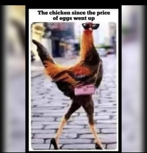 captures_chrome-capture-2022-7-10 (3)