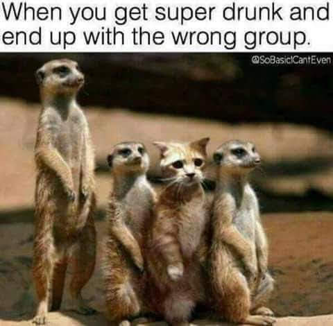 17:00:14 GMT-0400 (EDT)