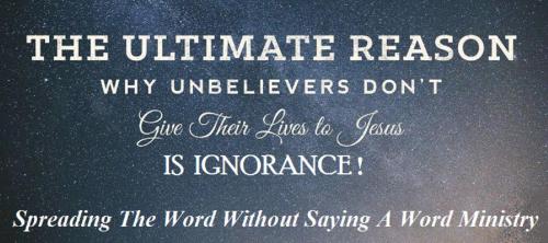 12232659_953850964697035_3675164417936993639_o