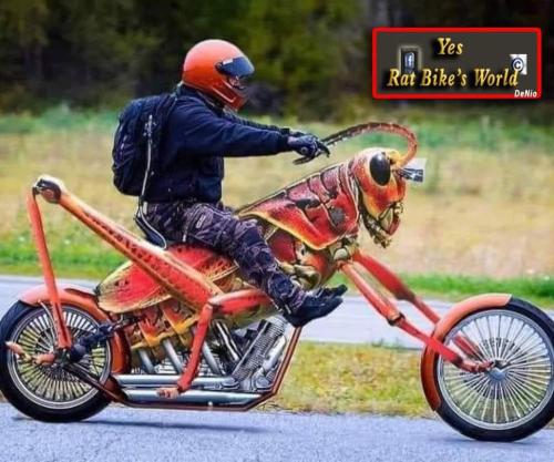 291570587_7637260823011079_3340033377990278509_n