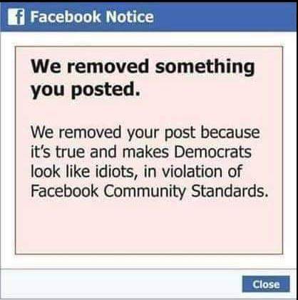 FB_IMG_1562546505905