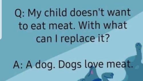 FB_IMG_1660321219740