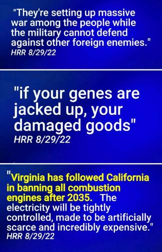 Screenshot_2022-08-30-13-18-50-481_com.google.android.apps.photos