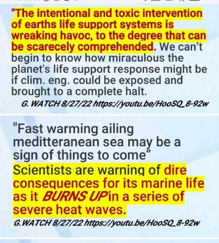 Screenshot_2022-08-30-13-55-57-458_com.google.android.apps.photos