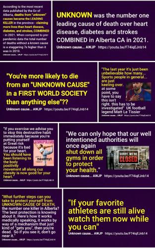 Screenshot_2022-08-22-16-11-32-545_com.google.android.apps.photos~2