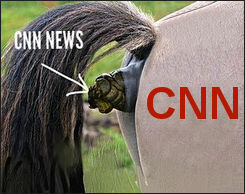 cnn135