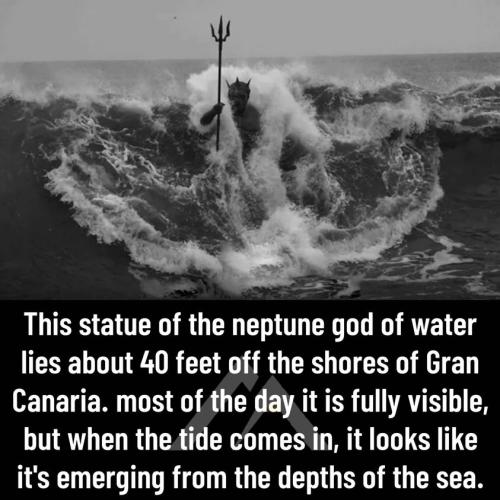 298008209_1703585440009860_6420963413419014125_n