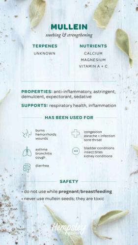 20:06:39 GMT-0500 (CDT)