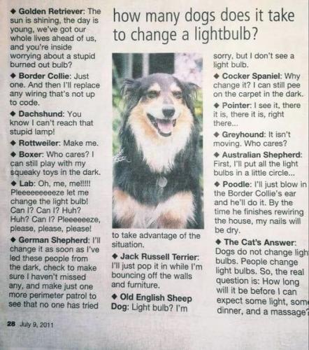 300419592_2254335418049640_8818730737203692816_n