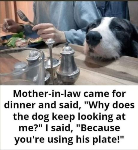 FB_IMG_1660149110108