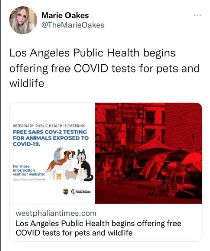 chrome-capture - 2022-08-25T113346.004