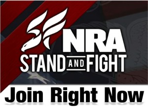 NRA_Join_fight.1553420_std-1-e1459310621343