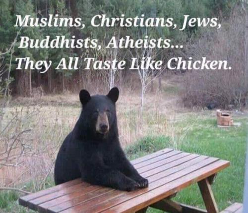 FB_IMG_1661441175660