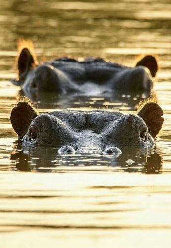 tumblr_83e27240274b7a1b29fcc3a471a55544_2b385017_540