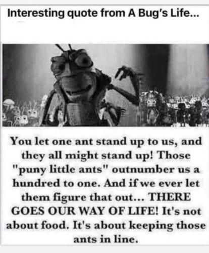 Screenshot_2022-08-14-16-21-33-422_org.telegram.messenger.web~2