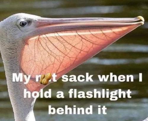 FB_IMG_1661271847768