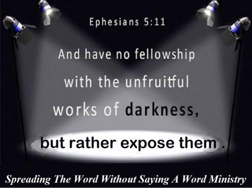 12238008_952675528147912_9043324922229499961_o