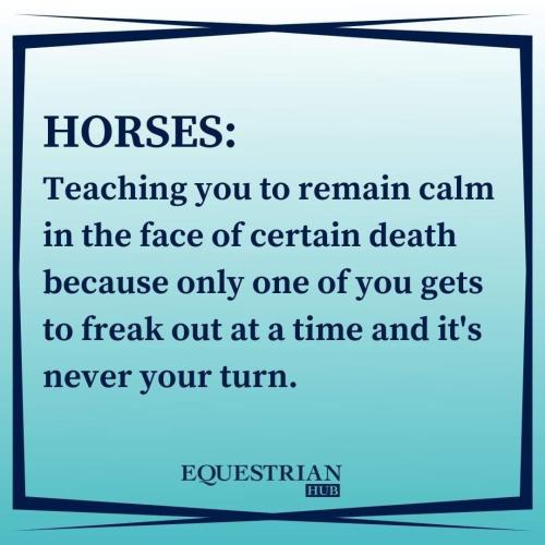 297552532_6046119252081956_4308325183217479003_n