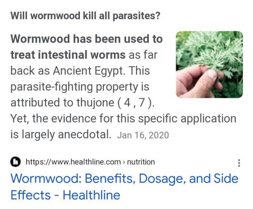 Screenshot_2022-08-19-07-20-20-944_com.android.chrome~2