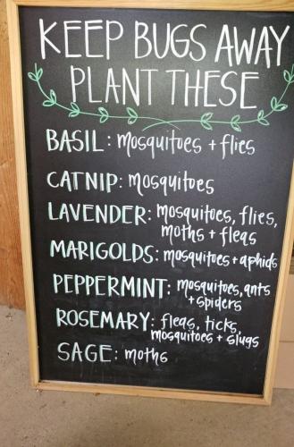 299316204_1122478178367639_708815734022451980_n