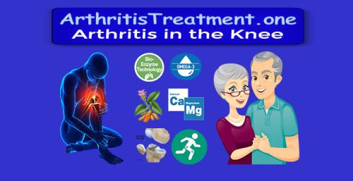 ArthritisTreatment.one - Arthritis in the Knee