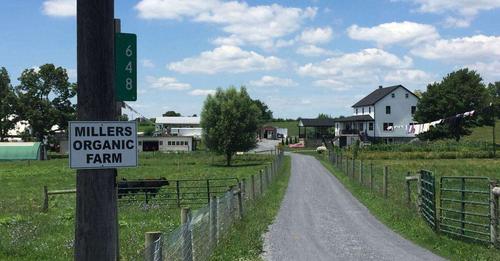 Millers Organic Farm