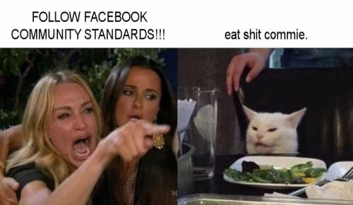 follow facebook community standards