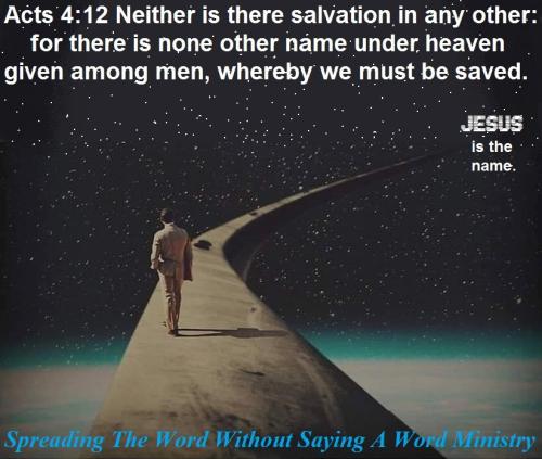 65377454_2401596563255794_8173497277399171072_n