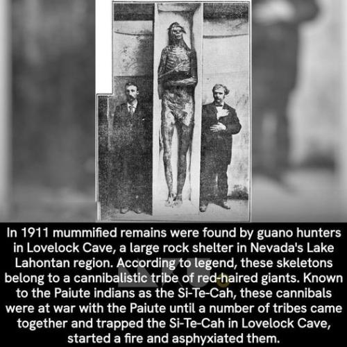 295776337_1700442546990816_3478192473533061827_n