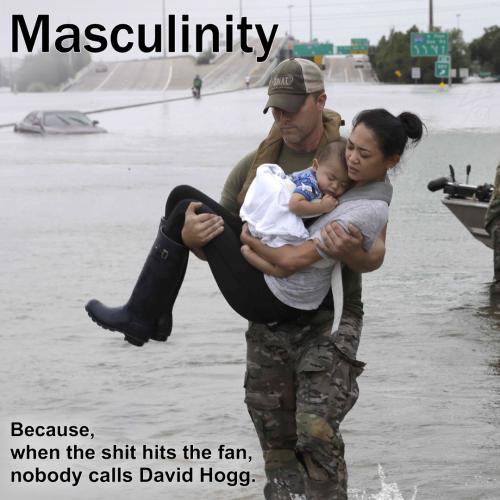 Masculinity - Because, when the shit hits the fan, nobody calls David Hogg - Man Carrying Woman and Child out of Flood