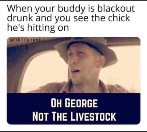 FB_IMG_1661533645336