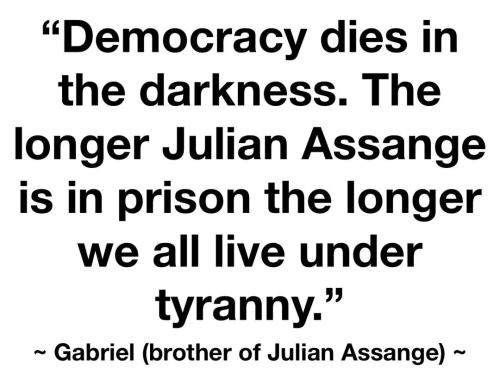 Assange 2