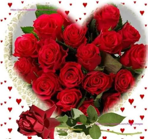 02befcc9-21a4-4b7c-9235-cf303aa03bc9