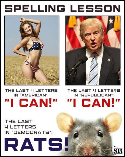 67162453_1247996955369865_8677586868692320256_n