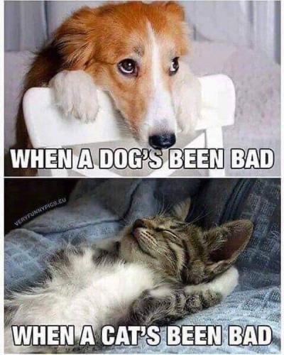 FB_IMG_1660653163913